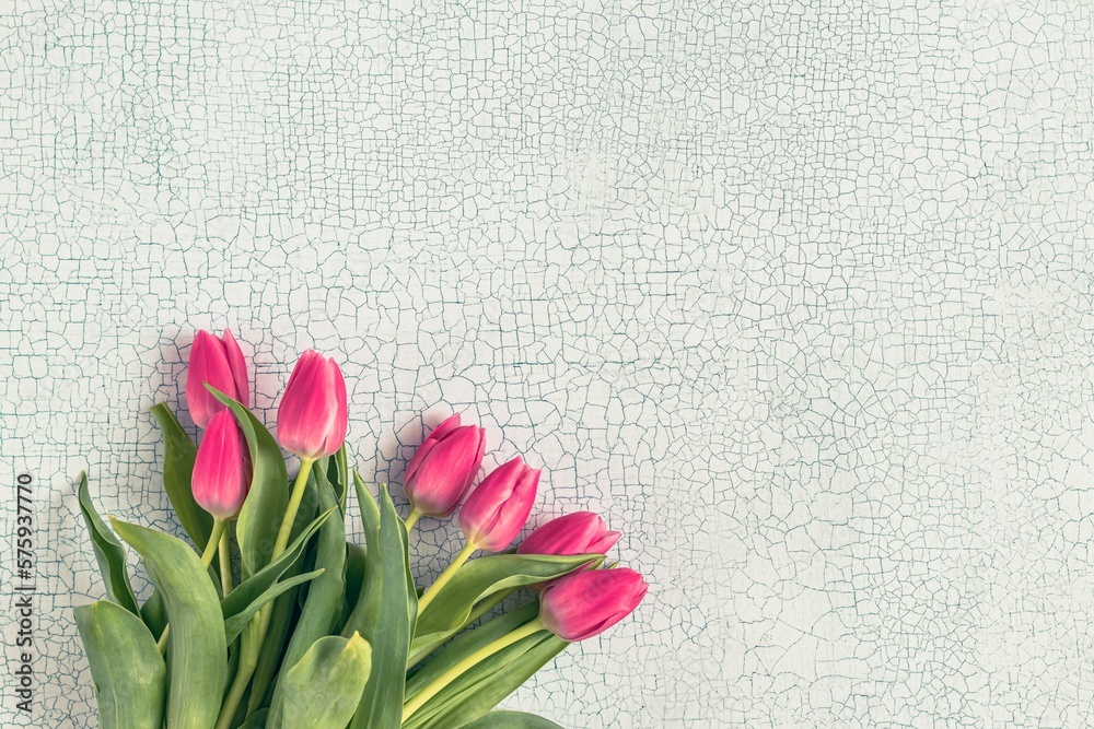 Spring frame of pink tulips on texture  background. Floral square greeting card for Mother Day. Space for text.