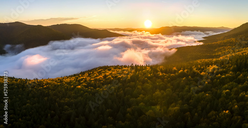 Aerial view of amazing scenery with foggy dark mountain forest pine trees at autumn sunrise. Beautiful wild woodland with shining rays of light at dawn © bilanol