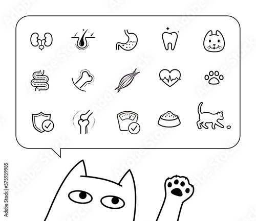 Vitality icon set for cat. The outline icons are well scalable and editable. Contrasting elements are good for different backgrounds. EPS10.	