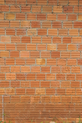 parede de tijolos rustica 