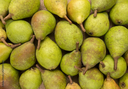 Group of green pears, close-up. Background of juicy pears.