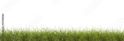 Meadow green grass row horizontal cut backgrounds 3d rendering png Fototapet