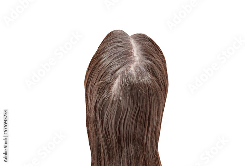 Women hair top view from the back of head, isolated on white background with clipping path