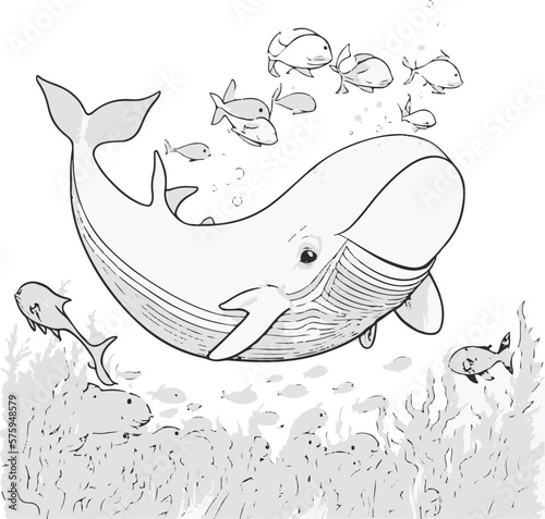 Ballena