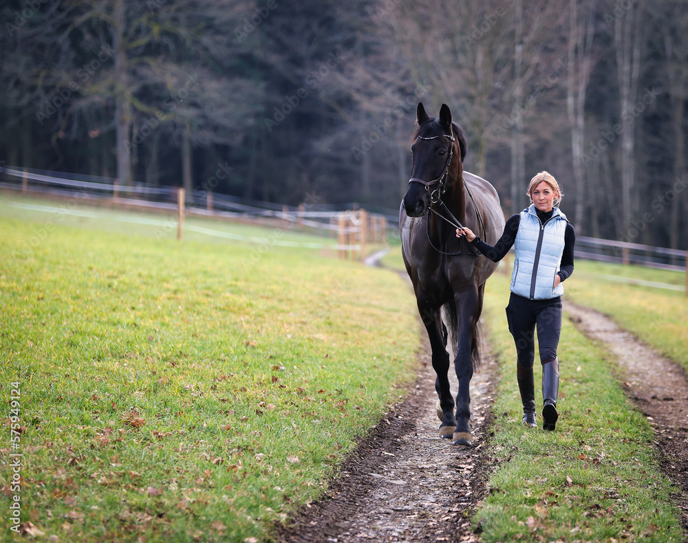 Young woman brings her horse on the bridle from the pasture to the stable, horse and woman on the right in the picture on the left space for text.. Young woman brings her horse on the bridle from the pasture to the stable, horse and woman on the right in the picture on the left space for text..