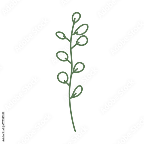 Hand drawn floral plant element, botanical leaves art in a glyph illustration design