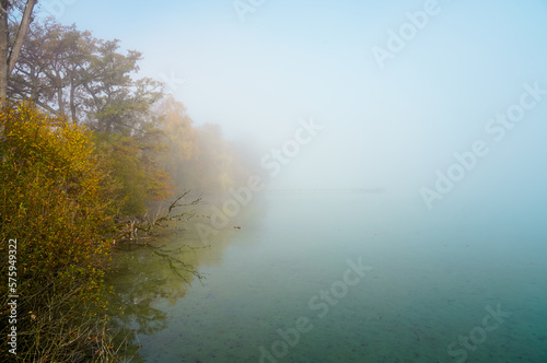 Autumn landscape by the lake. Nature with fog in the morning. 