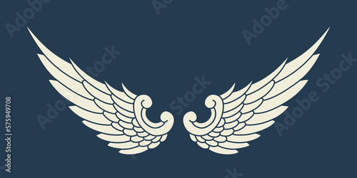 Vector angel wings design