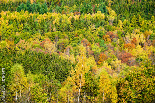 View of nature and the Rhön near Riedenberg. Autumn forest in the low mountain range. 