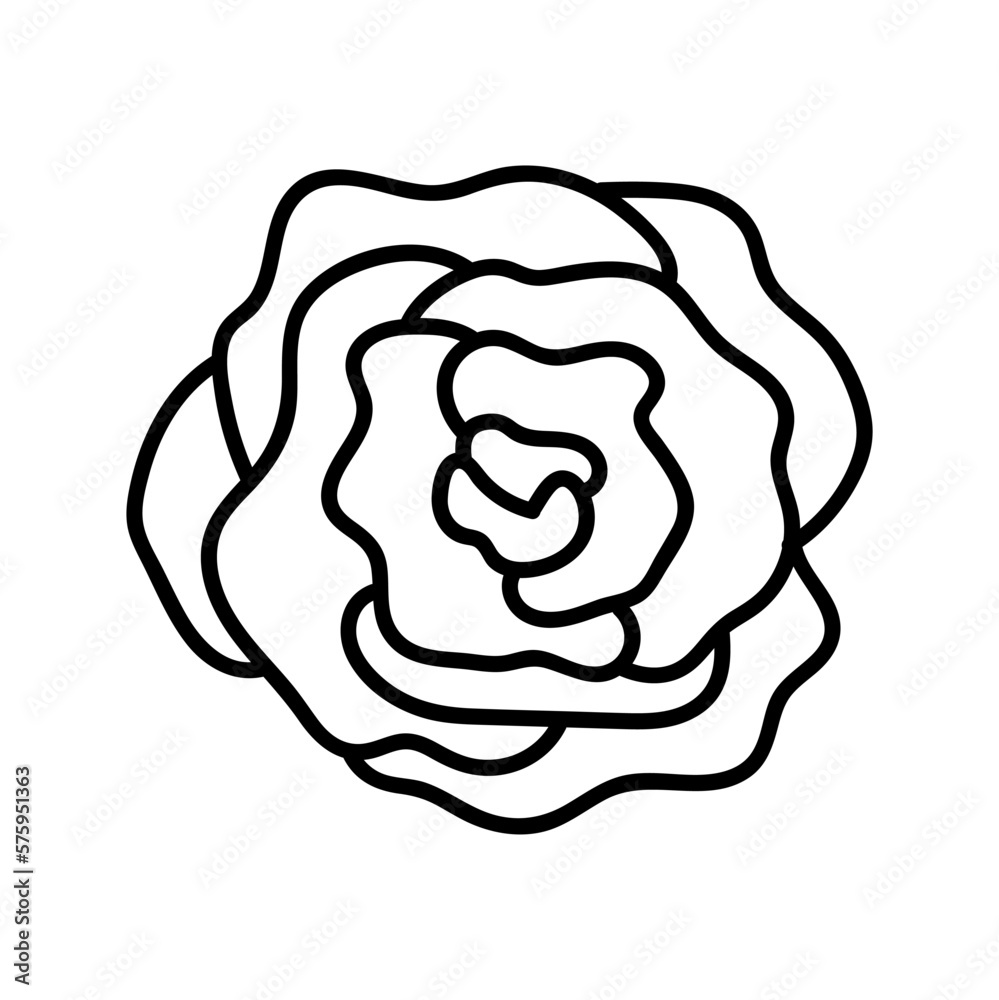 flower line on white background vector illustration using for decoration of text, cards, invitation. Sketch of leaves and flowers. flower line on white background vector illustration using for decoration of text, cards, invitation. Sketch of leaves and flowers.