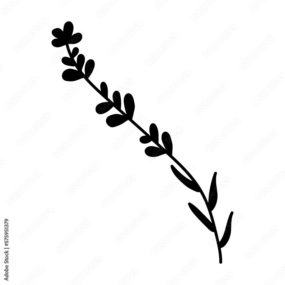 Hand drawn black floral elements on the white background. Floral decorative using for decoration of text, cards, invitation. Sketch of leaves and flowers. Hand drawn black floral elements on the white background. Floral decorative using for decoration of text, cards, invitation. Sketch of leaves and flowers.