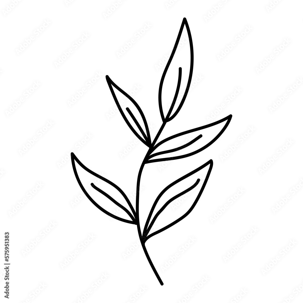 Hand drawn black floral elements on the white background. Floral decorative using for decoration of text, cards, invitation. Sketch of leaves and flowers. Hand drawn black floral elements on the white background. Floral decorative using for decoration of text, cards, invitation. Sketch of leaves and flowers.