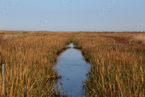 Entwässerungsgraben an der Nordsee bei Blauen Himmel im Herbst © klaus