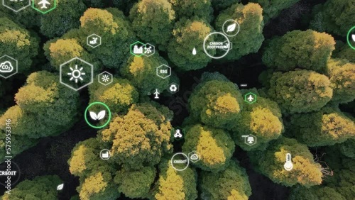 Save the planet earth day low CO2 emission. Aerial forest tree nature view with big data global care go green growth hope future. Net zero waste in ESG ethical business reduce pollution greenhouse gas