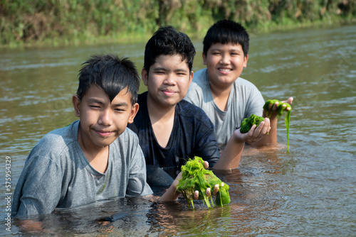 Asian boys hold freshwater algae or spirogyra, spironina which is grawing in local river which floading from the mountain nearby to study ecosystem and to observe the clanliness of water in the river. photo