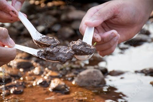 Children use white plastic spoons to scoop soil, rocks and sand from the banks of their village rivers to study the organisms that live inside germs and toxins in outside school science laboratory.