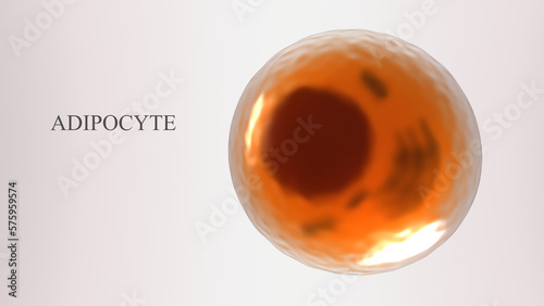 Adipose cell 3d model. 3d rendered illustration of the white fat cell on light background with free space for text.	