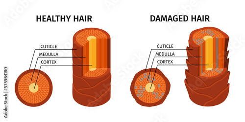 Healthy Damaged Hair Composition