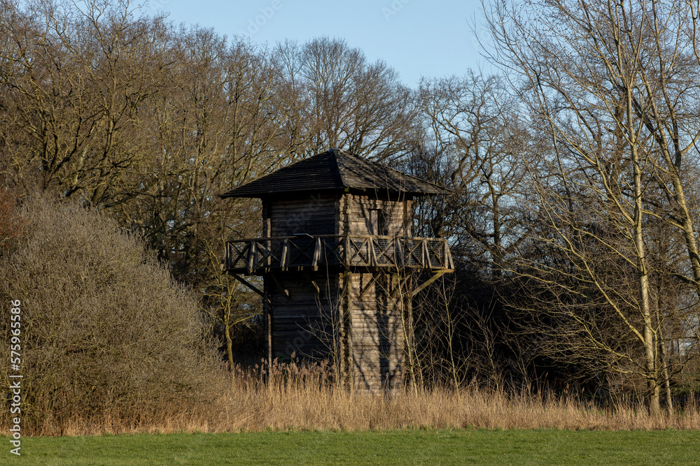 Obraz premium Wooden historic watch tower remains of roman regiment fortification between clearing of trees part of the original Waterlinie defense settlement. Archaeological site in Dutch landscape.