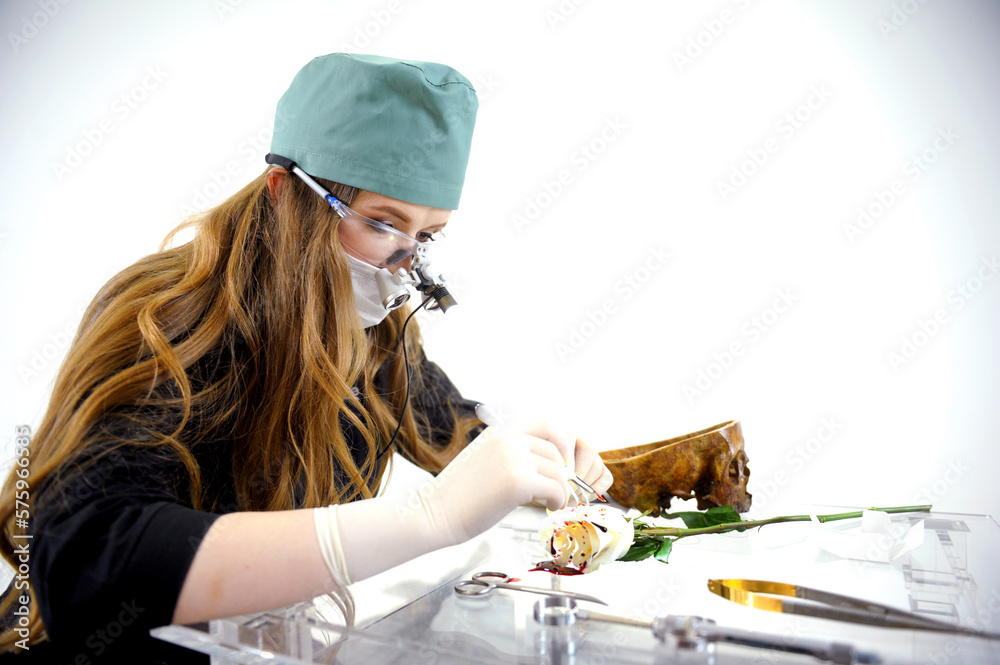 laboratory research study of structure of living organism dissect rose ...
