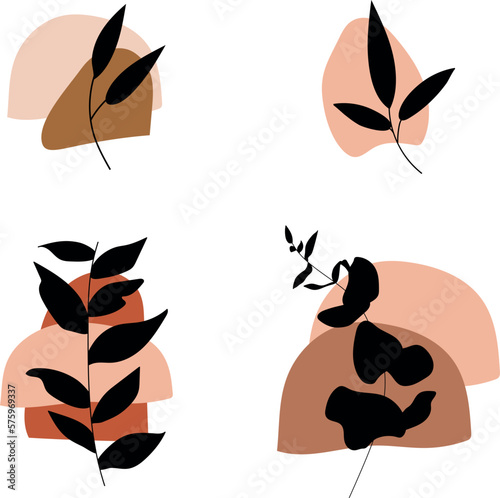 wildflower line, wildflower set, wildflower hand drawn