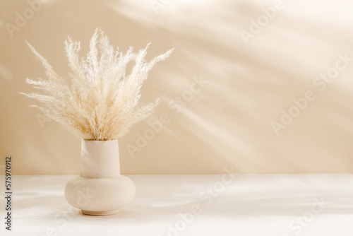 Aesthetic ceramic vase with pampas grass on the table with warm shadows and copy space. Eco friendly home decoration, scandinavian style