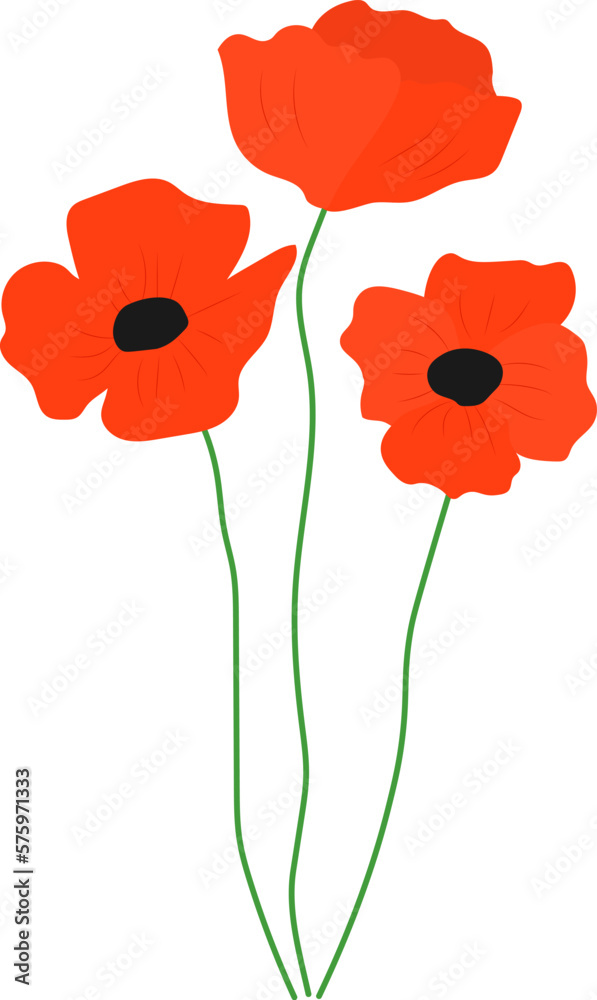 Fototapeta premium Set Flowers poppy vector illustration