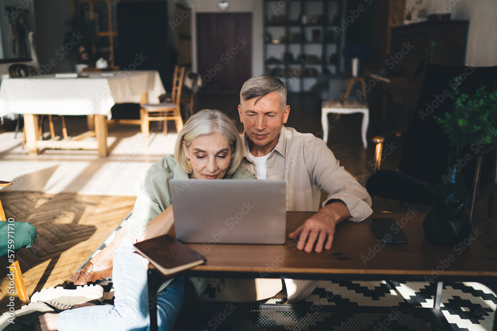 Happy elderly couple using laptop in modern apartment