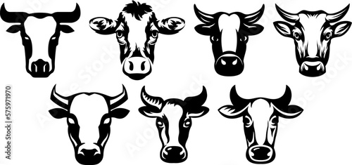 Cow head mascot variant set. Cattle logo. Farm animal illustration.