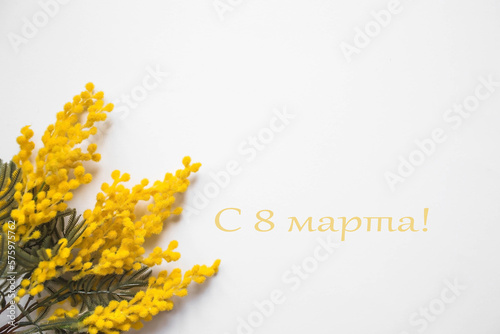 Bouquet of mimosa on a white background. View from above. The concept of spring in the house and International Women's Day on March 8.