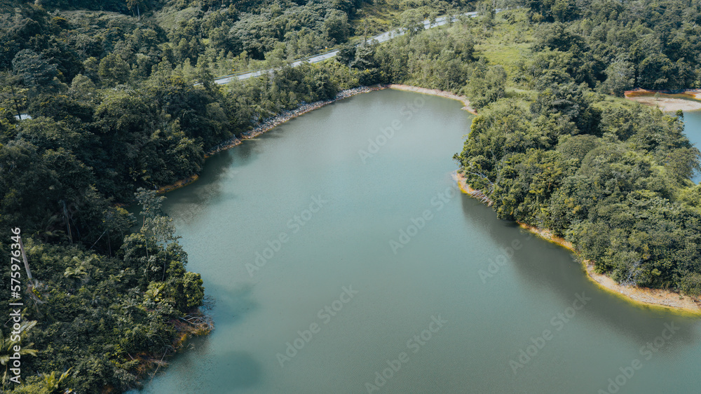 Green lake and rainforest tropical trees in Kuala Kubu Bharu, Malaysia.