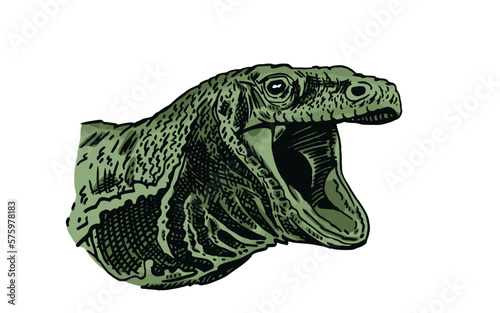 Graphical portrait of green varan isolated on white background, lizard color illustration