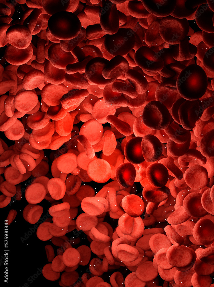 Red blood cells, 3D illustration Red blood cells, 3D illustration