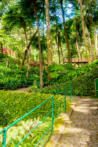 view of tropical Madeira Monte Palace garden in Funchal in its japanese part during a sunny day in february with its natural beauty