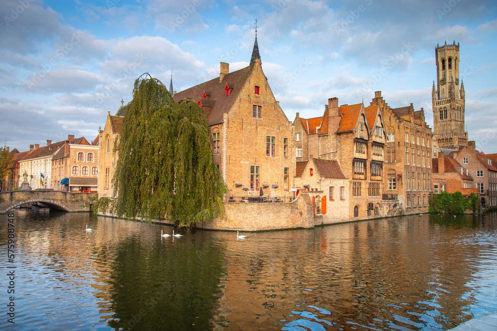 Fototapeta premium Architecture of idyllic Bruges with canal and swans floating in a row, Flanders, Belgium