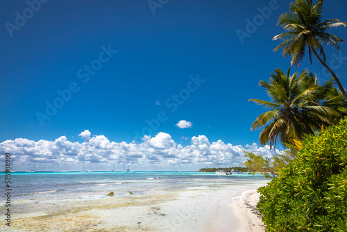Obraz na płótnie Tropical beach in caribbean sea, idyllic Saona island, Dominican Republic w salonie