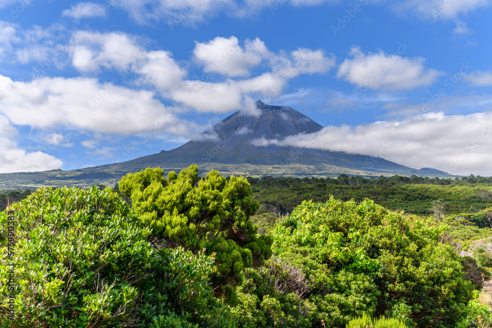 Fototapeta premium The volcano Pico / Pico volcano on Pico island, highest mountain in Portugal, Azores.