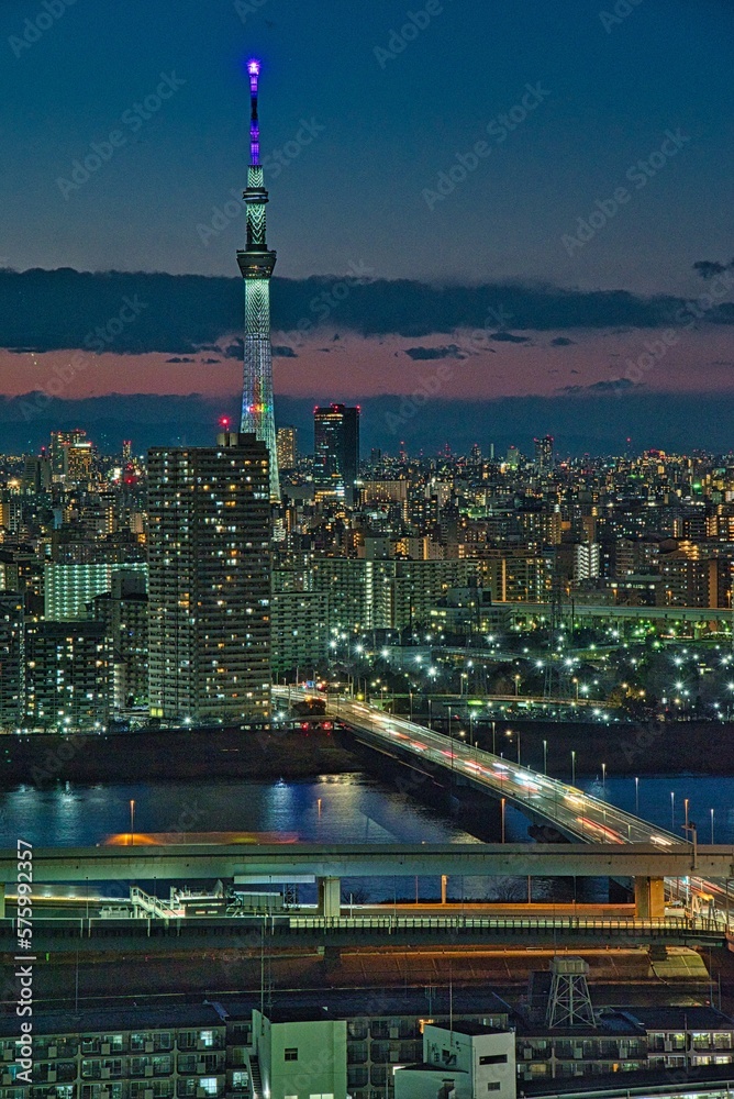 Naklejka premium 日本、東京の夜景