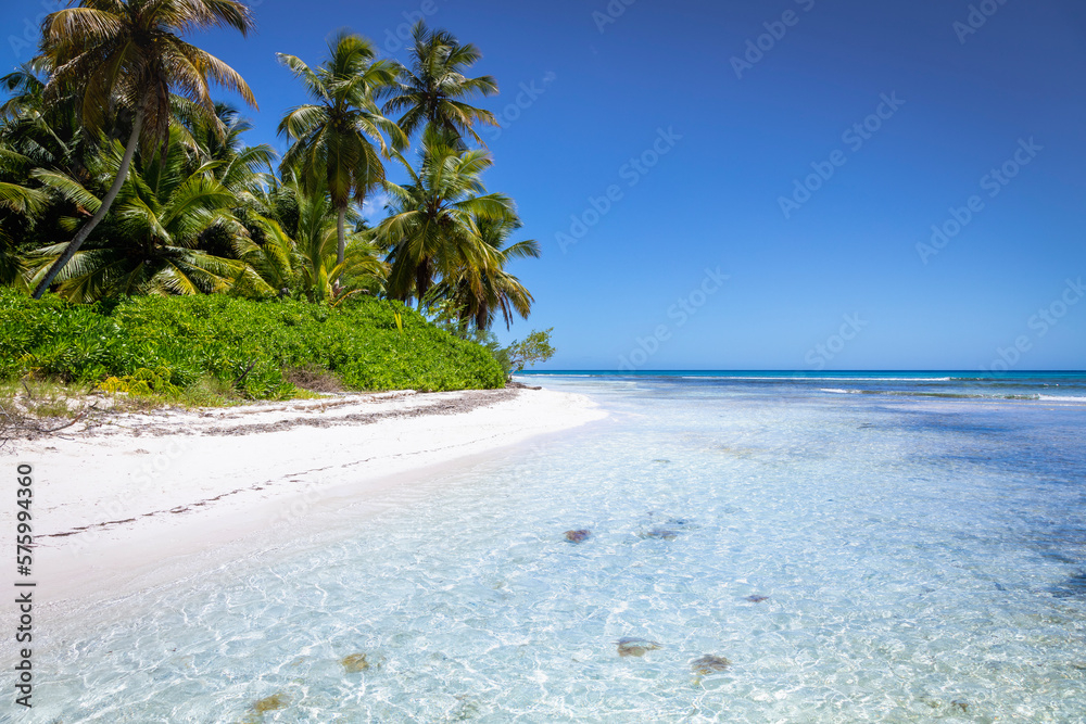 Tropical beach in caribbean sea, idyllic Saona island, Dominican Republic