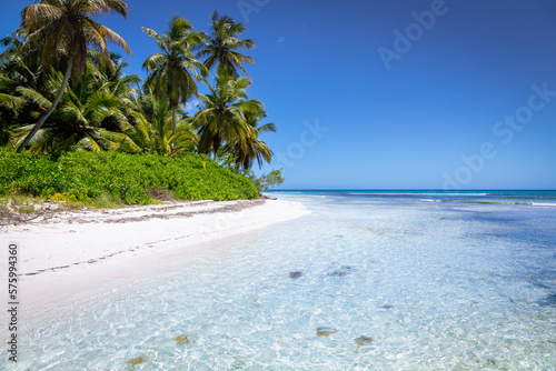 Obraz na płótnie Tropical beach in caribbean sea, idyllic Saona island, Dominican Republic w salonie