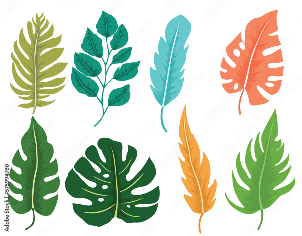 Fototapeta premium Tropical leaves vector set. Botanical exotic colorful jungle foliage, palm leaves 