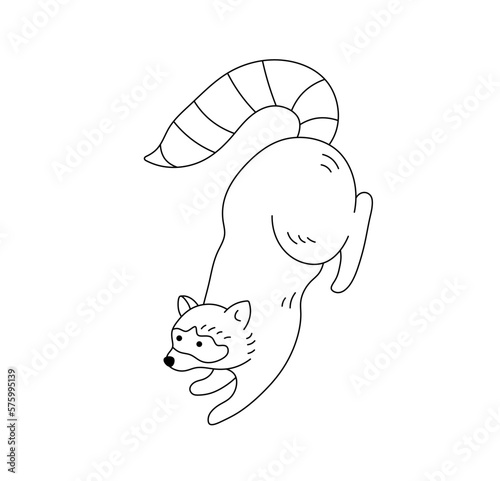 Vector isolated one single cute cartoon funny crawling raccoon with long striped tail colorless black and white contour line easy drawing