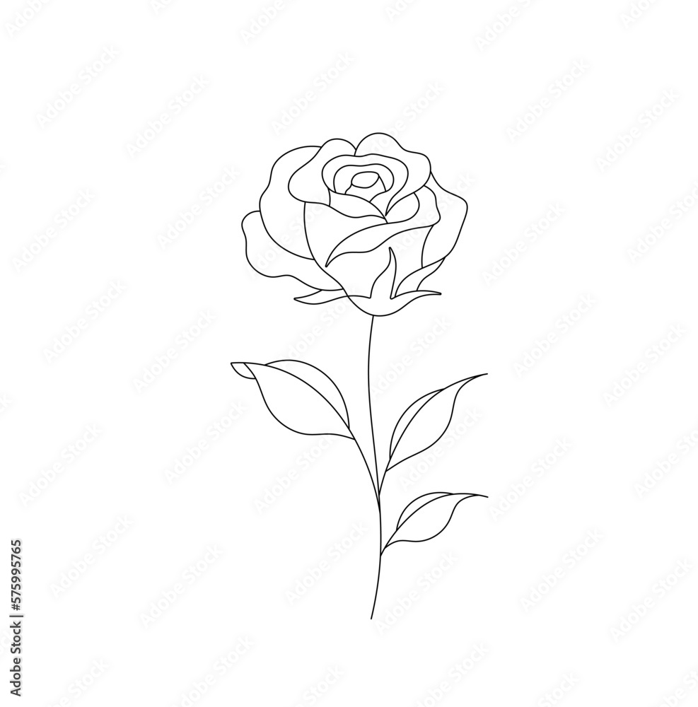 © MariMuz - Vector isolated one single rose flower on a stem with leaves colorless black and white contour line easy drawing © MariMuz - Vector isolated one single rose flower on a stem with leaves colorless black and white contour line easy drawing