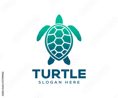 Photography Turtle icon logo design