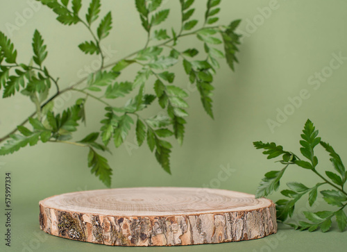 Fototapeta Naklejka Na Ścianę i Meble -  Wooden product stage or podium with copy-space for product presentation over pastel greenbackground with  fern leaf.