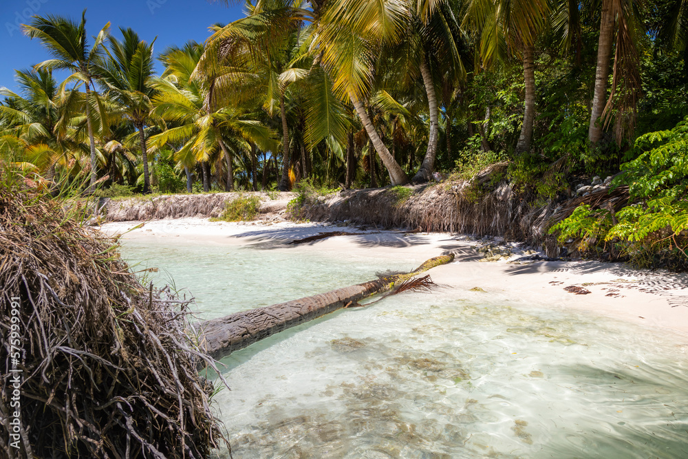 Tropical beach in caribbean sea, idyllic Saona island, Dominican Republic