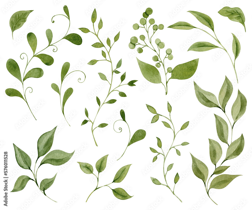 Watercolor simple spring greenery collection of twigs and branches illustrations