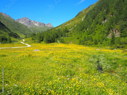 Rieserferner-Ahrn, Knuttenbach valley