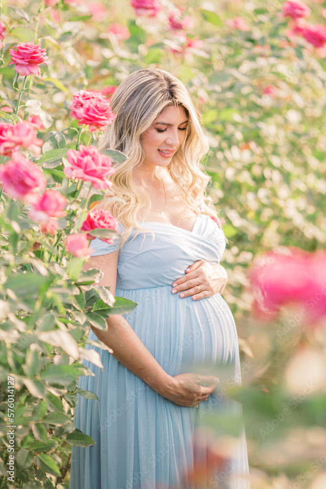 Barriga da mamãe grávida com vestido azul, a espera do bebê, entre plantação de flores no campo na primavera.