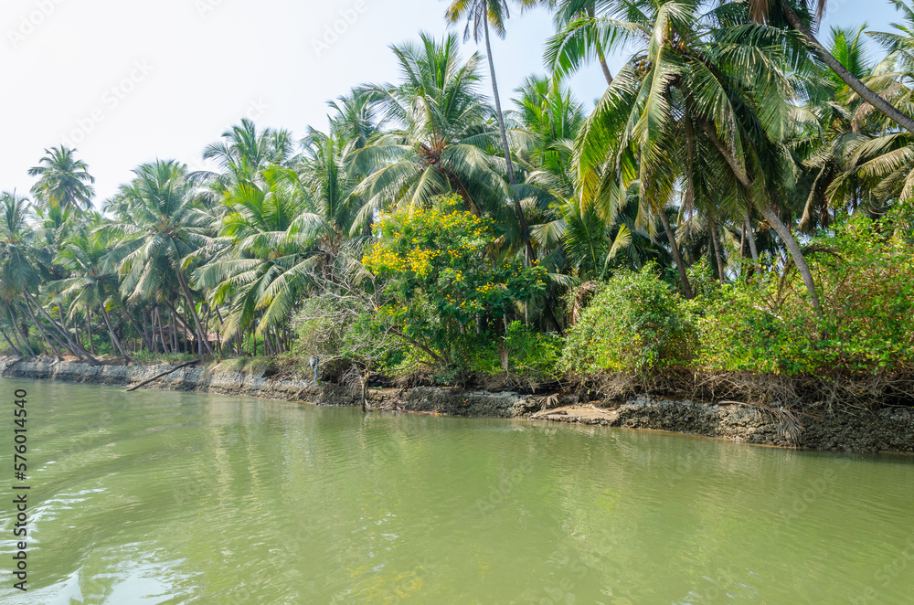 Backwaters of Kemmanu delta Backwaters of Kemmanu delta